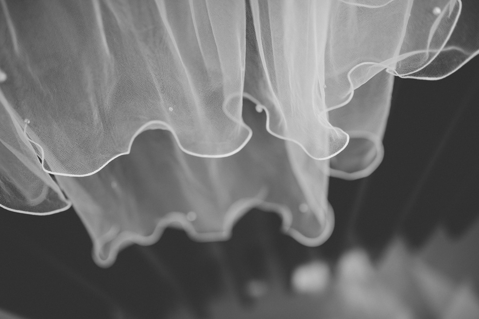 Wedding Veil Detail